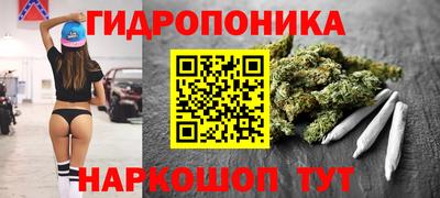 дмт Гусев
