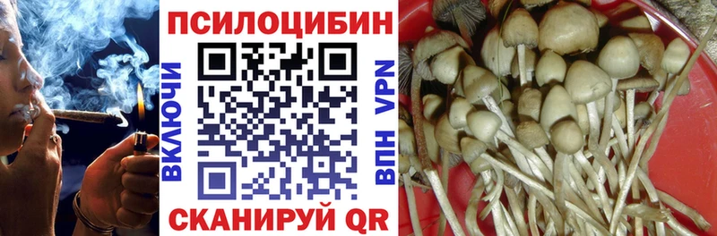 Псилоцибиновые грибы Cubensis  Луховицы 